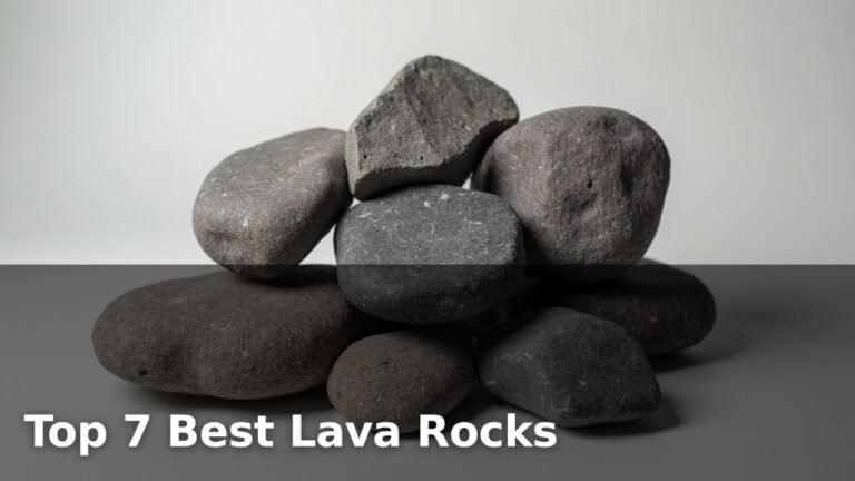 Top 7 Best Lava Rocks