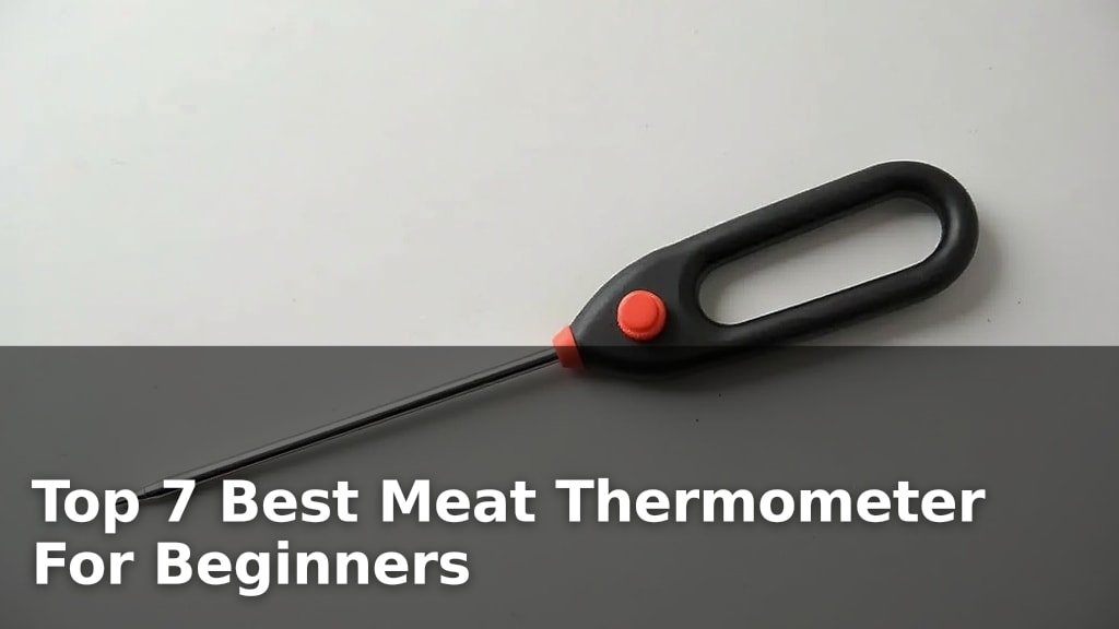 Top 7 Best Meat Thermometer For Beginners